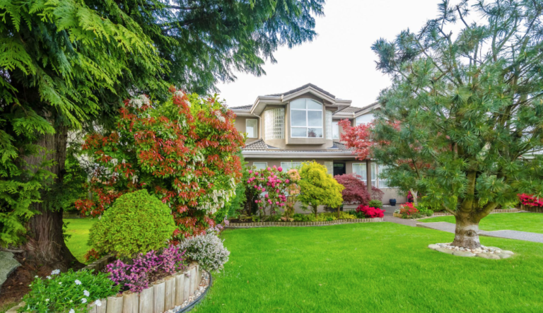 How a Landscape Solutions Company Can Turn Ordinary Outdoor Areas Into Functional Spaces
