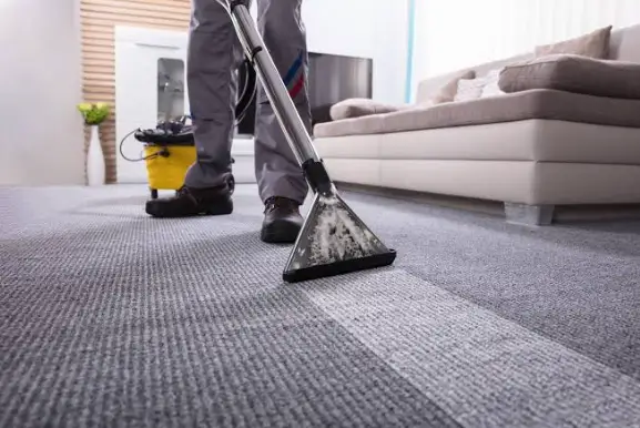 What Does Professional Carpet Cleaning Include?