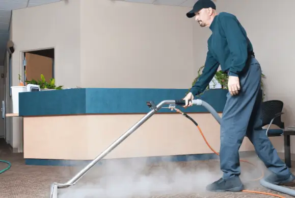 How Often Should You Get Carpet Steam Cleaning?